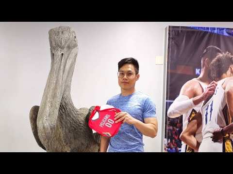 nba素材视频网站大全